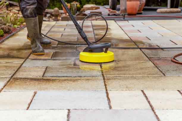 Best Animal Enclosure Cleaning  in Montour Falls, NY